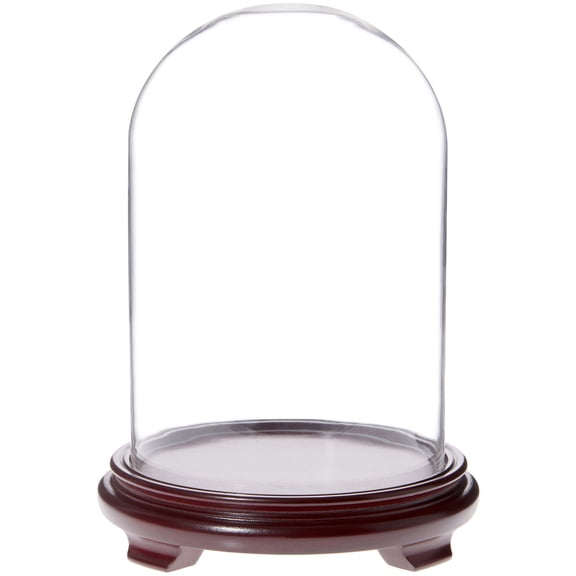 Plymor 8" x 12" Glass Display Dome Cloche (Red Wood Veneer Footed Base)