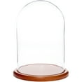 thumbnail image 1 of Plymor 8" x 12" Glass Display Dome Cloche (Walnut MDF Base), 1 of 2