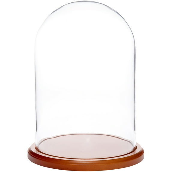 Plymor 8" x 12" Glass Display Dome Cloche (Walnut MDF Base)