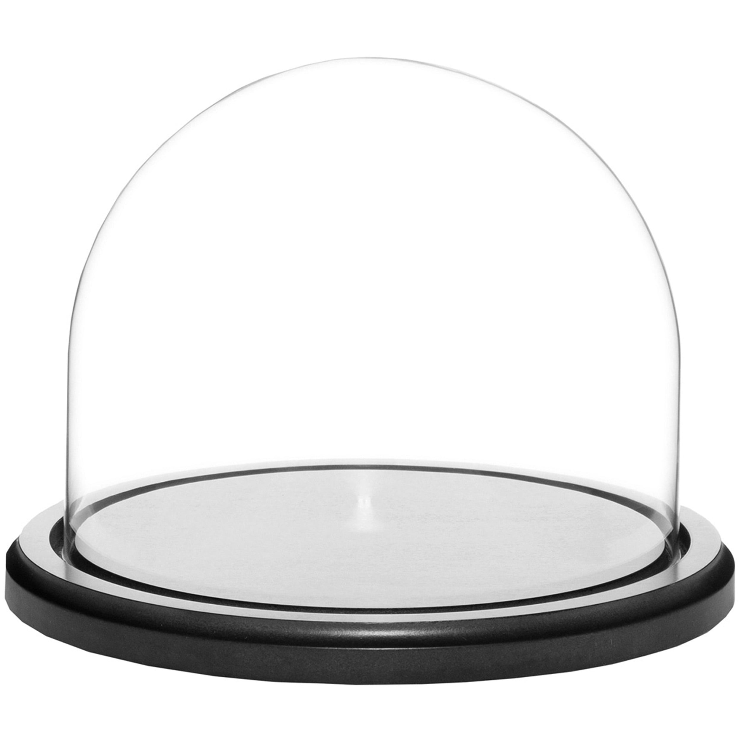 Plymor 8" x 6.5" Glass Display Dome Cloche (Black MDF Wood Base)
