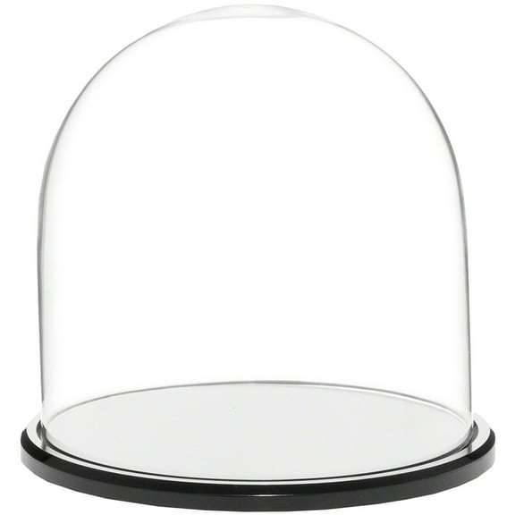 Plymor 8" x 8" Glass Display Dome Cloche (Black Acrylic Base)