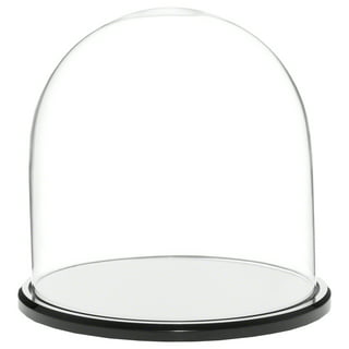 Plymor 4 x 5.25 Glass Display Dome Cloche (Black Acrylic Base)