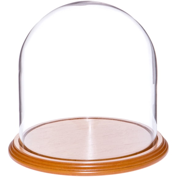 Plymor 8" x 8" Glass Display Dome Cloche (Oak Veneer Base)