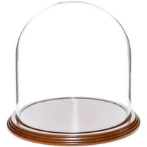 Plymor 8" x 8" Glass Display Dome Cloche (Walnut Veneer Base)