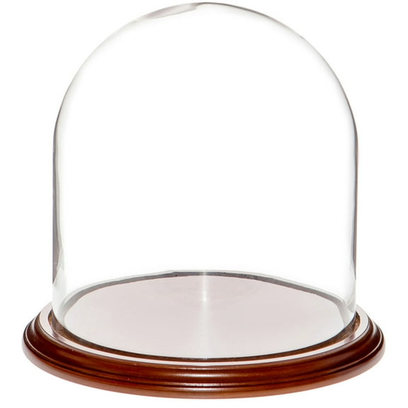 Plymor 9.75" x 10" Glass Display Dome Cloche (Walnut Veneer Base)