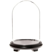 Plymor 9.75" x 15" Glass Display Dome Cloche (Black Wood Veneer Footed Base)