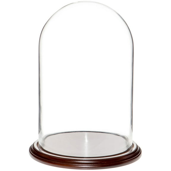 Plymor 9.75" x 15" Glass Display Dome Cloche (Dark Mahogany Veneer Base)