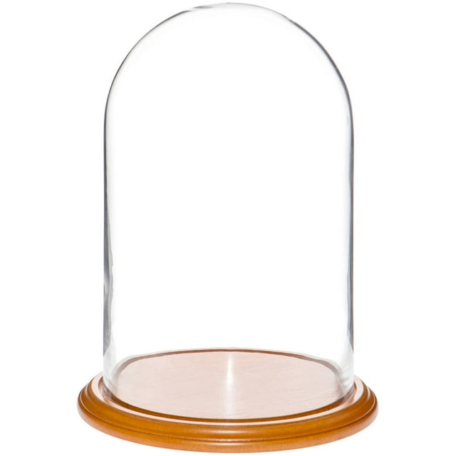 Plymor 9.75" x 15" Glass Display Dome Cloche (Oak Veneer Base)