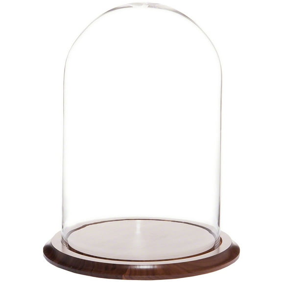 Plymor 9.75" x 15" Glass Display Dome Cloche (Walnut Base)