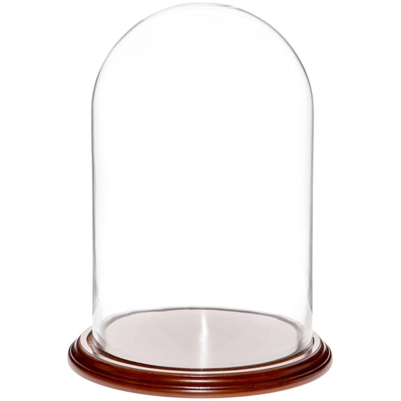 Plymor 9.75" x 15" Glass Display Dome Cloche (Walnut Veneer Base)