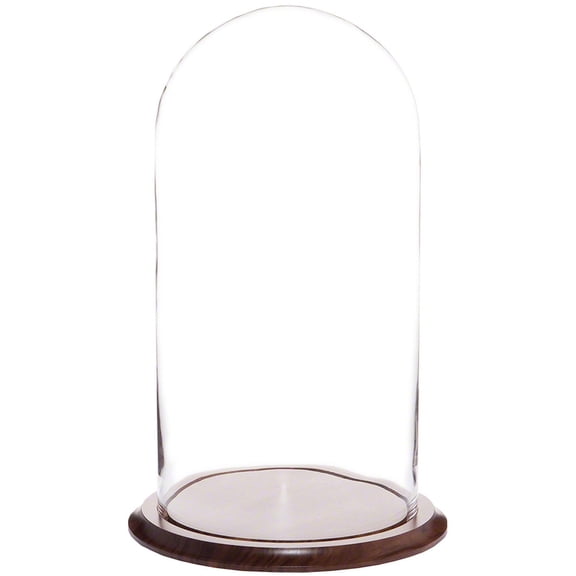 Plymor 9.75" x 20" Glass Display Dome Cloche (Walnut Base)
