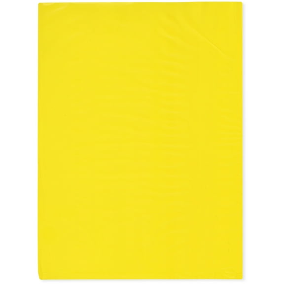 Plymor 9" x 12" (Pack of 100), Yellow 2 Mil Flat Open Plastic Poly Bags