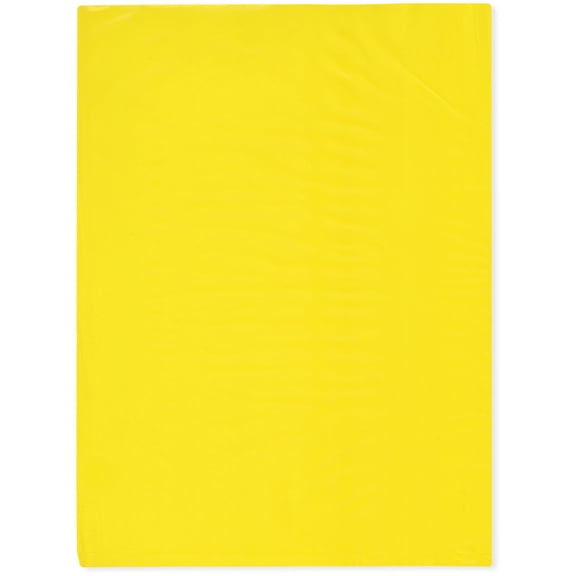 Plymor 9" x 12" (Pack of 500), Yellow 2 Mil Flat Open Plastic Poly Bags