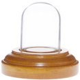 thumbnail image 1 of Plymor Miniature 1" x 1.5" Mini Glass Display Dome TINY Cloche (Oak Veneer Base), 1 of 1