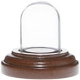 thumbnail image 1 of Plymor Miniature 1" x 1.5" Mini Glass Display Dome TINY Cloche (Walnut Base), 1 of 1