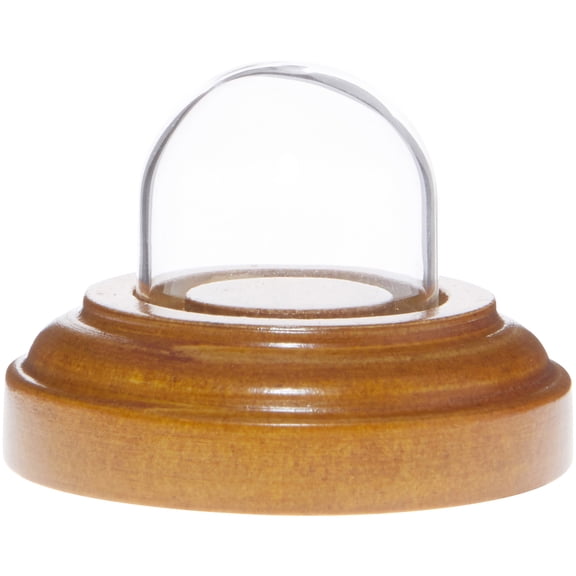 Plymor Miniature 1" x 1" Mini Glass Display Dome TINY Cloche (Oak Veneer Base)