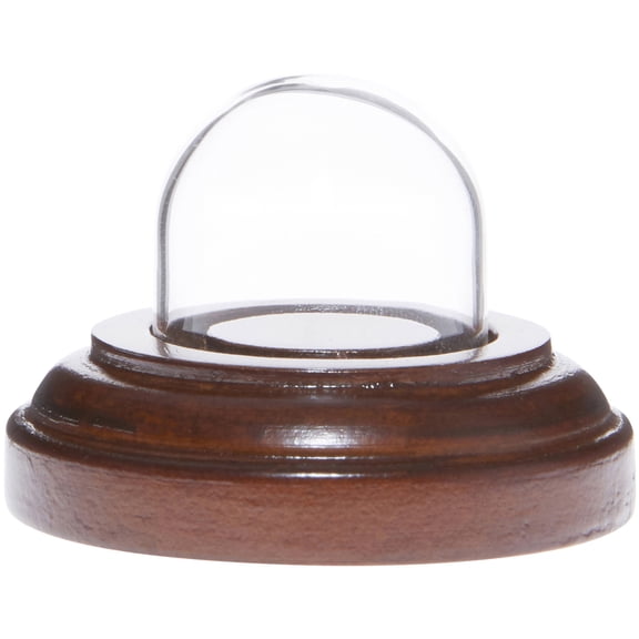 Plymor Miniature 1" x 1" Mini Glass Display Dome TINY Cloche (Walnut Base)