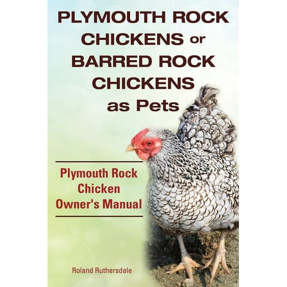 Plymouth Rock Chickens or Barred Rock Chickens as Pets. Plymouth Rock Chicken Owner's Manual. (Paperback)