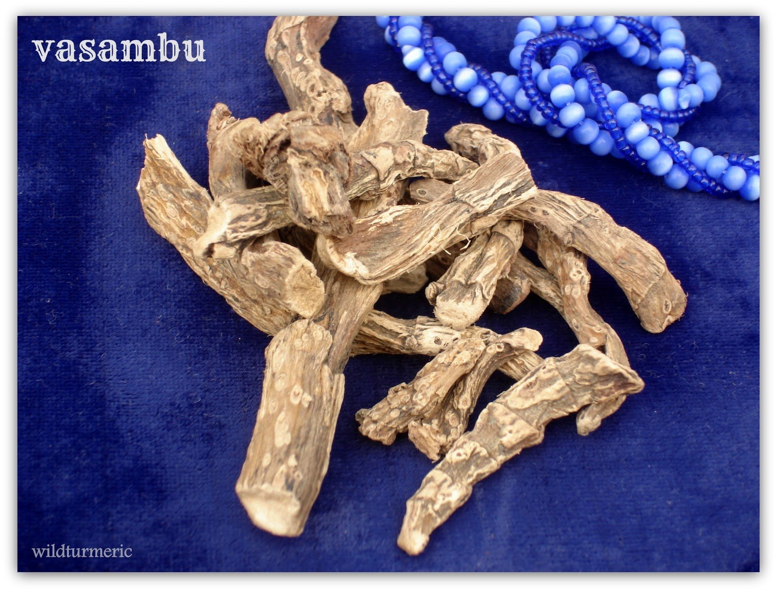 Pmw® Ayurvedic Acorus Calamus Sweet Flag Vasa Vayambu Vasambu