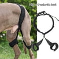 thumbnail image 1 of Pnellth Dog Knee Brace Pet Puppy Knee Pad Adjustable Dog Leg Brace Small Medium Large Dogs Support Brace Injury Joint Wrap Recover Protector, 1 of 9