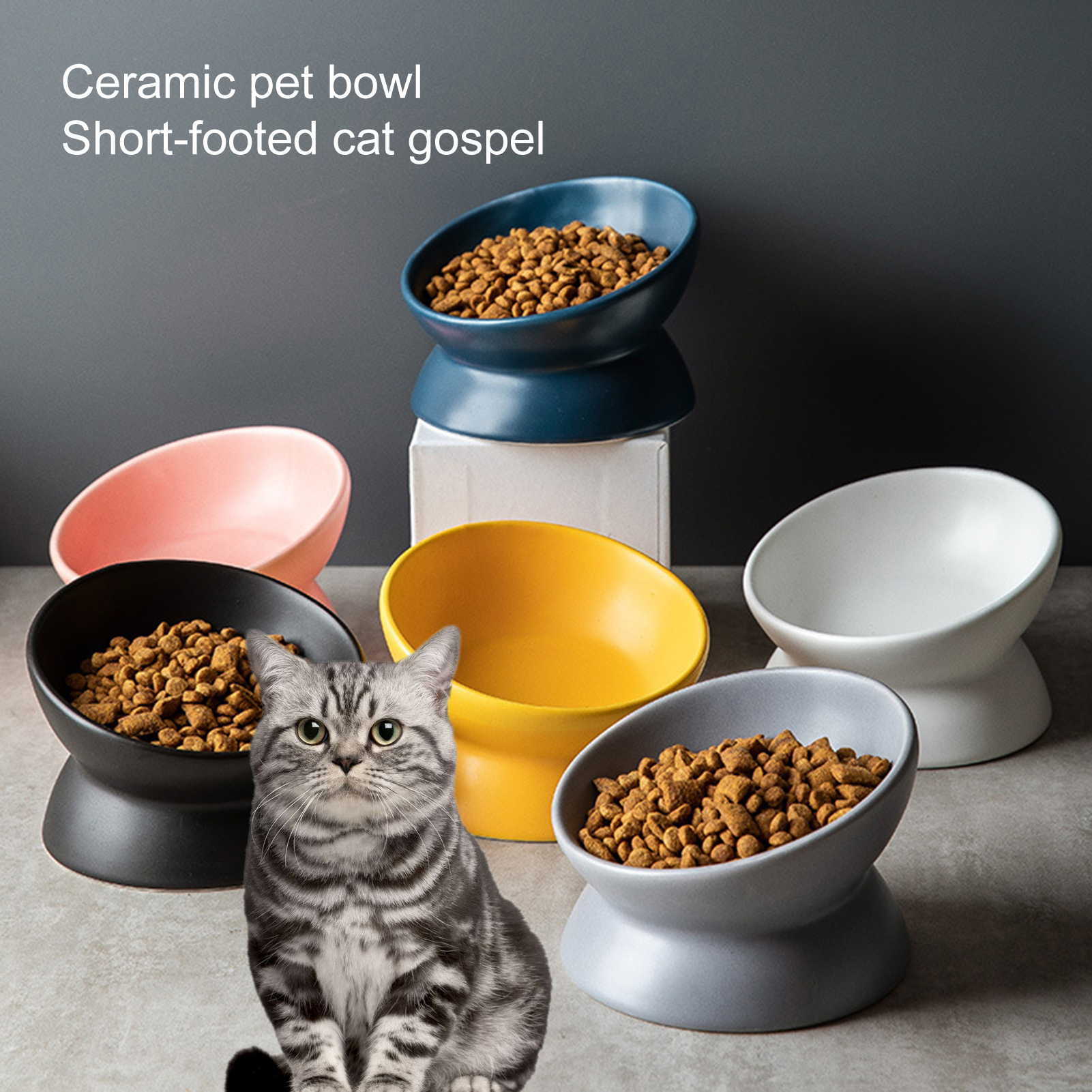 Pnellth Elevated Dog Cat Food Bowl Smooth AntiVomiting 15Degree