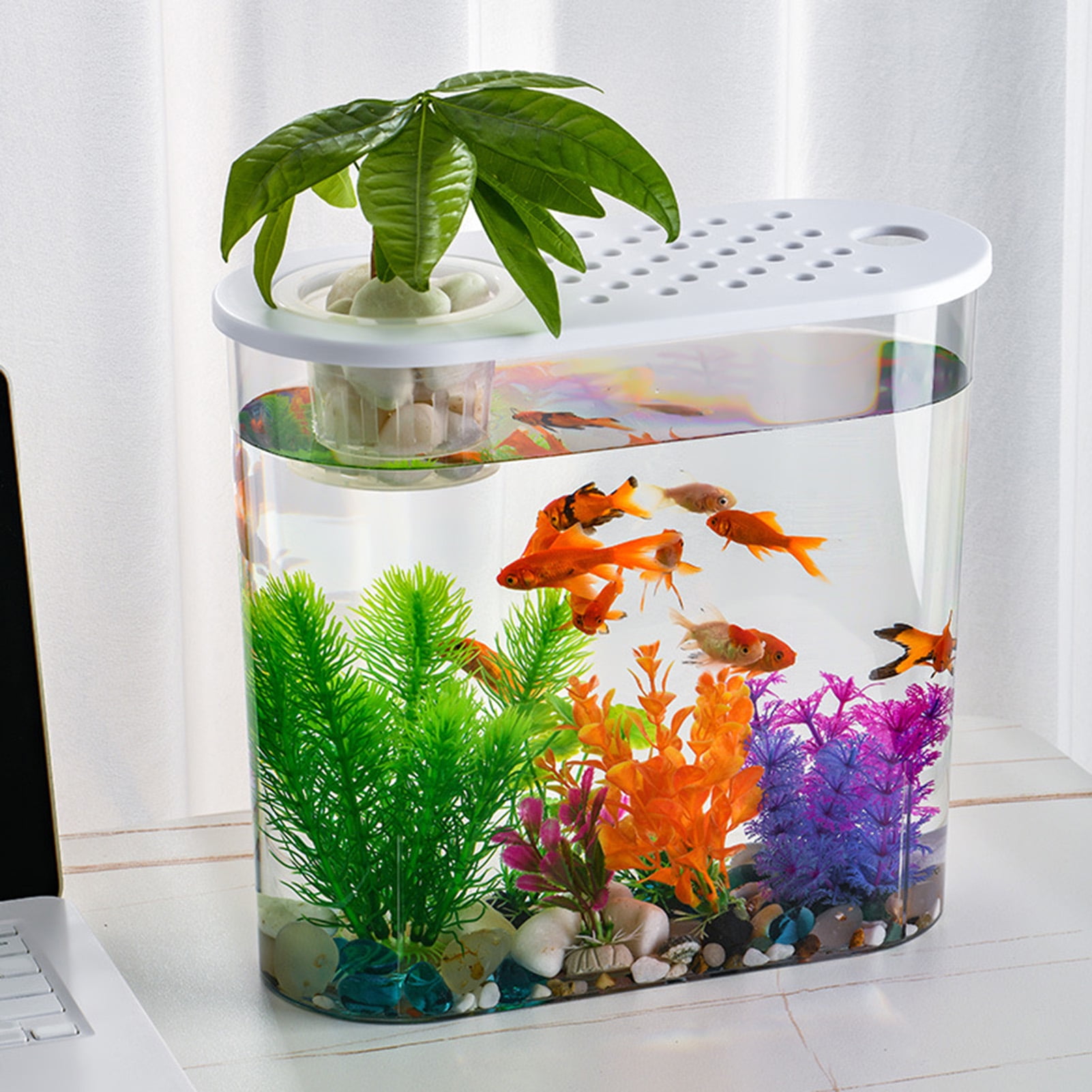 Pnellth Stylish Desktop Fish Bowl with Holes And Lid Hydroponics Soil Culture Perfect for Home or Office Decor Walmart