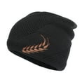 thumbnail image 1 of Pnellth Winter Hat Stretchy Thick All Match Yarn Embroidered Wheat Fleece Fleece Cap for Daily Life, 1 of 7