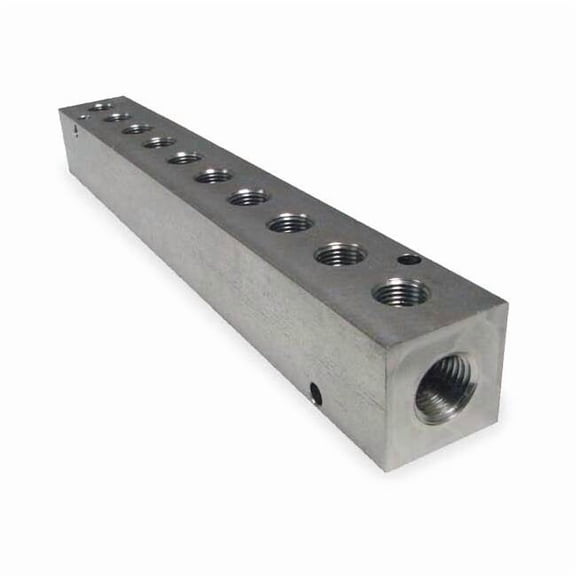 Pneumadyne Manifold,SS,10Outlets,9.13"L M20-250-10-SS