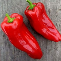 Poblano Ancho Pepper - 250 mg ~30 Seeds - Non-GMO, Open Pollinated, Heirloom, Vegetable Gardening Seeds - Hot Pepper