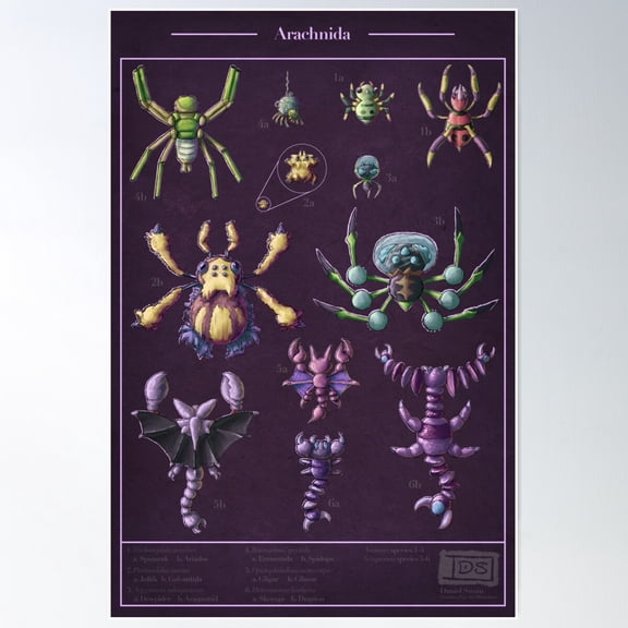 Pocket Arachnida Poster Wall Art, Modern Wall Decor For Living Room Bedroom, 8x12 UNFRAMED