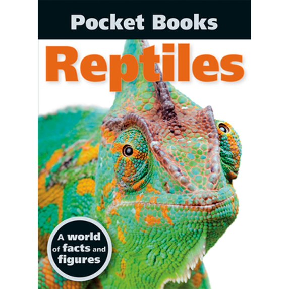 Pre-Owned Pocket Books: Reptiles (Paperback)