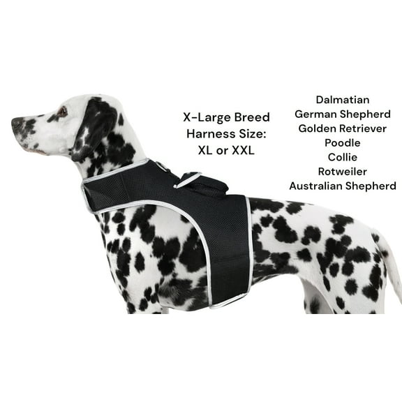 Pocket Dog Collar with GPS Mini Tracking Tool for Live Pet Monitoring Size:L