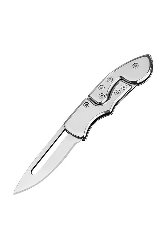 Pocket Folding Utility Knife, Multi-Tool with Keychain, Compact Outdoor Camping Hiking Edc Tool for Daily Tasks, 1Pcs (Silver)