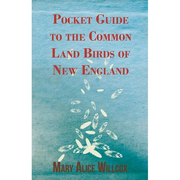 Pocket Guide to the Common Land Birds of New England, (Paperback)