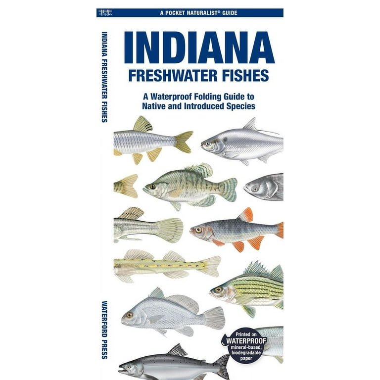 Pocket Naturalist Guide: Indiana Freshwater Fishes : A Waterproof Folding  Guide to Native and Introduced Species (Other)