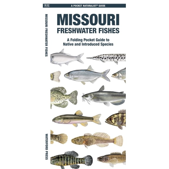 Nature Observation North America Missouri Freshwater Fishes: A Folding Pocket Guide to Native and Introduced Species, (Paperback)