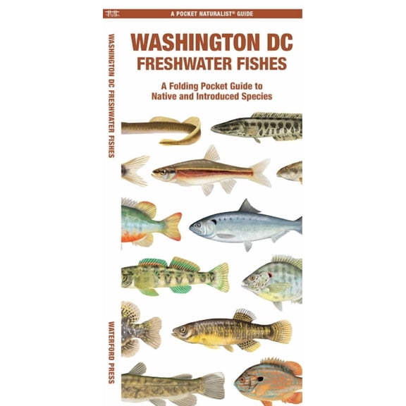Nature Observation North Washington DC Freshwater Fishes, (Paperback)