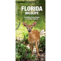Pocket Naturalist Guides: Florida Wildlife: An Introduction to Familiar Species (Paperback)