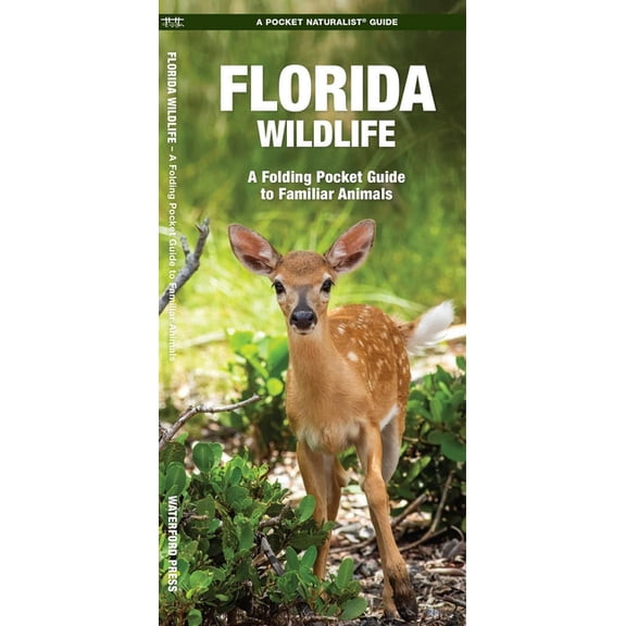 Pocket Naturalist Guides: Florida Wildlife: An Introduction to Familiar Species (Paperback)