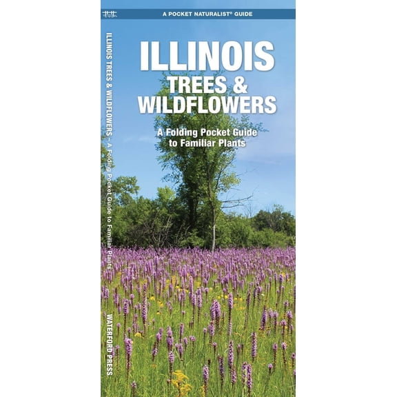 Pocket Naturalist Guides: Illinois Trees & Wildflowers: A Folding Pocket Guide to Familiar Species (Paperback)