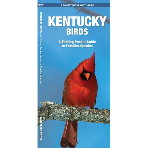 Pocket Naturalist Guides: Kentucky Birds: A Folding Pocket Guide to Familiar Species (Paperback)