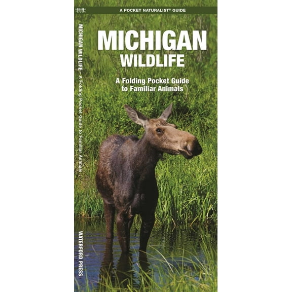 Pocket Naturalist Guides: Michigan Wildlife: A Folding Pocket Guide to Familiar Species (Paperback)
