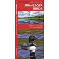 thumbnail image 1 of Pocket Naturalist Guides: Minnesota Birds: A Folding Pocket Guide to Familiar Species (Other), 1 of 1
