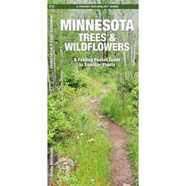 Pocket Naturalist Guides: Minnesota Trees & Wildflowers: An Introduction to Familiar Species (Paperback)
