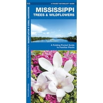 Pocket Naturalist Guides: Mississippi Trees & Wildflowers: A Folding Pocket Guide to Familiar Species (Paperback)