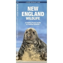 Pocket Naturalist Guides: New England Wildlife: A Folding Pocket Guide to Familiar Species (Paperback)