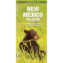 Pocket Naturalist Guides: New Mexico Wildlife: A Folding Pocket Guide to Familiar Species (Paperback)