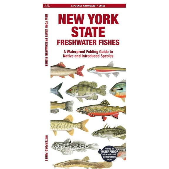 Pocket Naturalist Guides: New York State Freshwater Fishes : A Waterproof Folding Guide to Native and Introduced Species (Other)