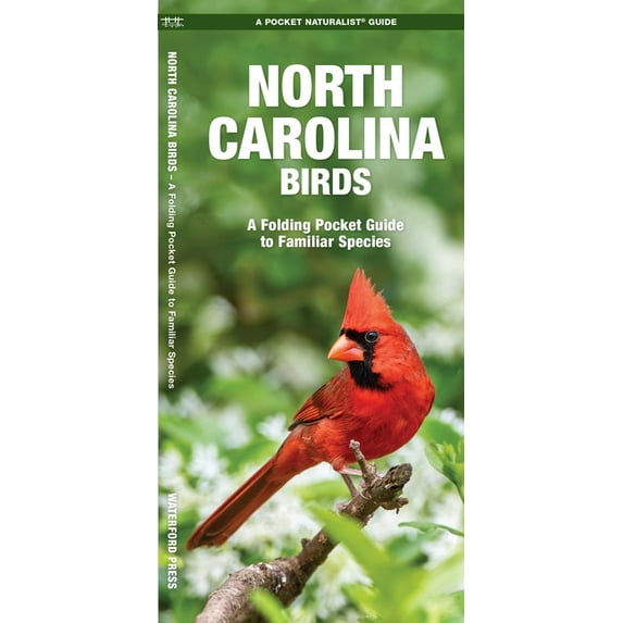 Pocket Naturalist Guides: North Carolina Birds: A Folding Pocket Guide to Familiar Species (Paperback)