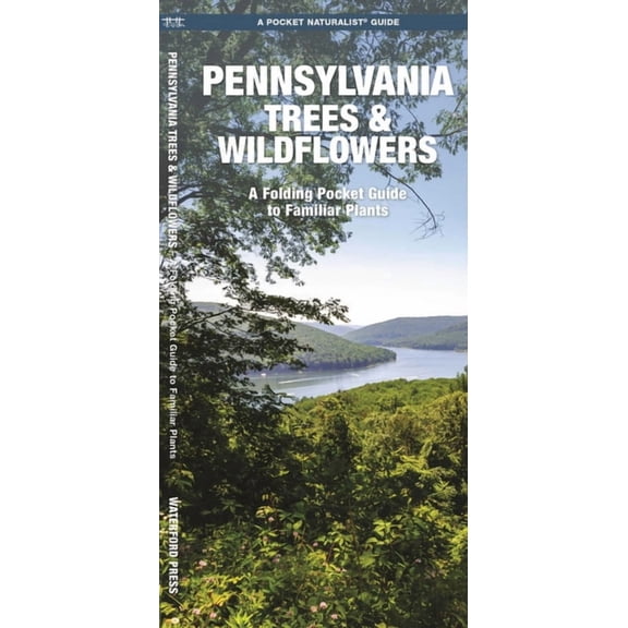 Pocket Naturalist Guides: Pennsylvania Trees & Wildflowers: A Folding Pocket Guide to Familiar Plants (Paperback)